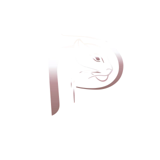 Panfhir