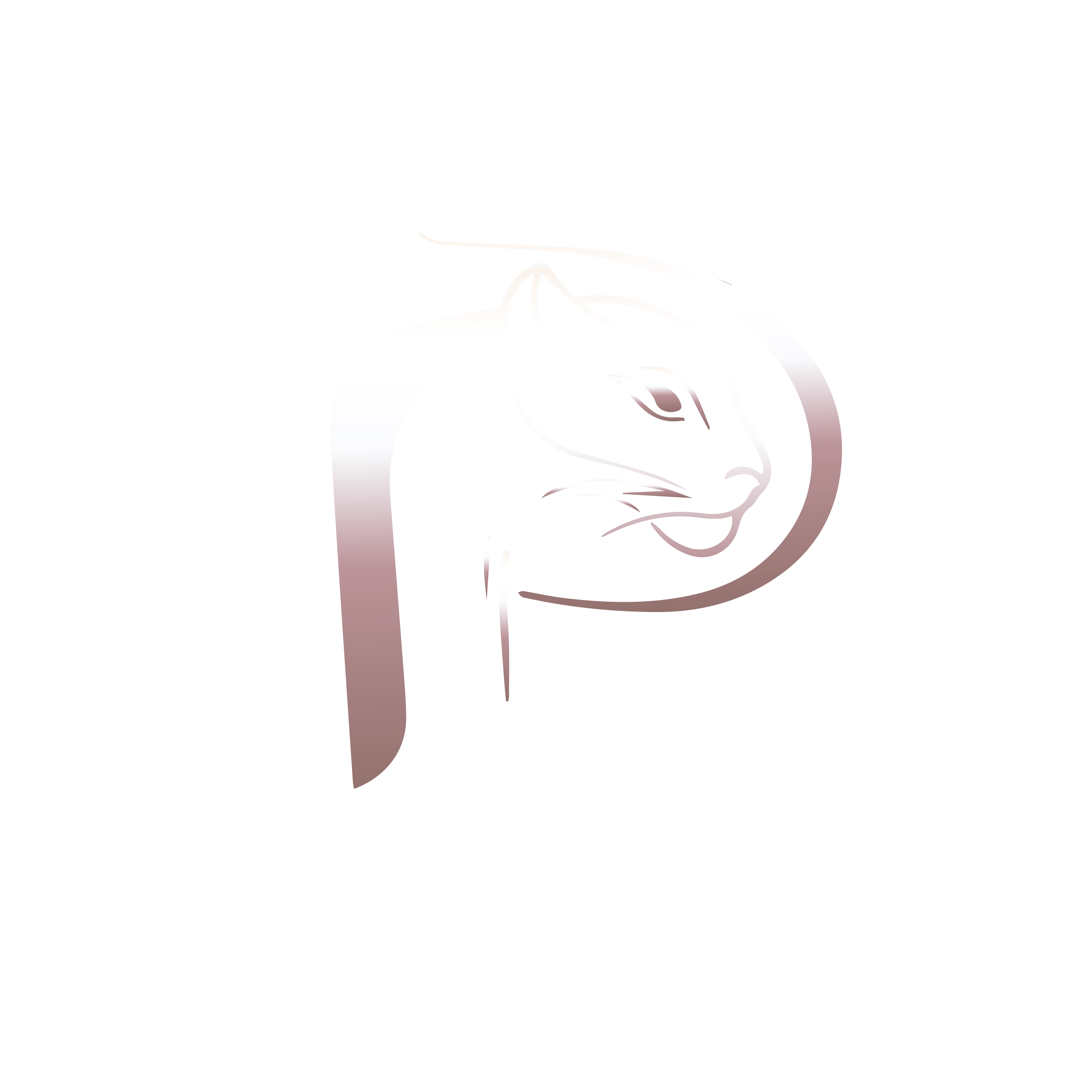 Panfhir