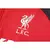 Conjunto Liverpool Treino 24/25 - Masculino Nike - Vermelho e preto com detalhes em branco na internet