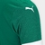 Camisa Palmeiras I 25/26 - Masculino - Verde - Puma - Torcedor