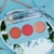 Paleta de Blush Payout