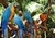 Full Day- BRASIL - comprar online