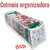 Colmeia Organizadora Para Calcinha Cueca Lingerie Top Closet Gavetas Escritório 10x10x34 cm - loja online