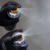 Imagem do FLAME BOOSTER