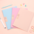 Carpeta A4 con folios x 10 - comprar online
