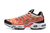 Air Max Plus TN 1 “Light Photography" na internet