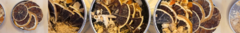 Banner de la categoría Té, blends de hebras