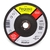 DISCO FLAP - PEGASO - comprar online