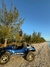 Passeio de Bugre 1 - comprar online