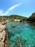 Praia da Foca na internet