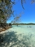 Ilha do Japones - comprar online
