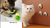 MENTA CATNIP JUGUETE GIRATORIO - comprar online