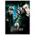 PUZZLE 60 PEÇAS HARRY POTTER E A ORDEM DA FÊNIX na internet