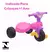 TRICICLO ENCANTADO COMPLETO - comprar online