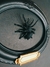 Imagen de APHONOPELMA MARXI