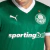 Camisa Palmeiras Home 25/26 - Masculino Torcedor - Lançamento - loja online