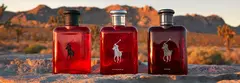 Banner da categoria RALPH LAUREN