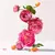 Roger & Gallet Rose Eau de Cologne 100ml Perfume Compartilhável - Santal