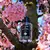Acqua Di Parma Sakura Eau de Parfum 100ml Perfume Compartilhável - Santal