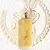 Alexandre.J Oriental Enigma Eau de Parfum 100ml Perfume Compartilhável - Santal
