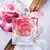 Lancome La Vie Est Belle Rose Extraordinaire Eau de Parfum Perfume Feminino - Santal
