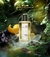 Mancera Cedrat Boise Eau de Parfum 120ml Perfume Compartilhável - Santal