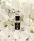 Acqua Di Parma Magnolia Infinita Eau de Parfum 100ml Perfume Feminino - Santal