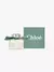 Chloe Rose Naturelle Intense Eau de Parfum - Perfume Feminino - loja online