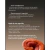 Reishi ~ Tintura Madre Doble Extracto 100 ml - Gaia