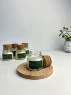 Kit Linha Suculenta | Aromas Refrescantes - comprar online