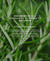 Imagem do banner rotativo Eco Lume Candles