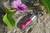 Touch Blend Ciclo Mestrual - comprar online