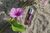 Touch Blend Labios - comprar online