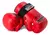 Guante Invictus Taekwondo Itf Granmarc - comprar online