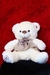 Peluches de Ositos 40 cm