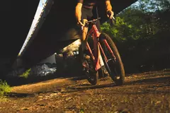 Banner de la categoría PRIMO