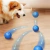 Bola para Mascotas Interactiva Automatica
