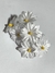 Flor margarita (8919) en internet