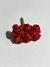 Flor de papel 5270 (4587)