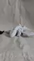 Chimuelo flexible en internet