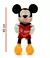 MICKEY CON CORAZON TE AMO en internet