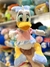 DAISY - comprar online
