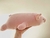 Chancho Echado en internet