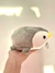 PELUCHITO PINGÜINITO en internet