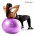 Imagem do BOLA DE EXERCÍCIOS 65CM ANTI-BURST - ROXA - PADRÃO: ÚNICO