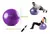 BOLA DE EXERCÍCIOS 65CM ANTI-BURST - ROXA - PADRÃO: ÚNICO - comprar online