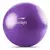 BOLA DE EXERCÍCIOS 65CM ANTI-BURST - ROXA - PADRÃO: ÚNICO