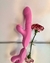 Vibrador VAI e VEM com SUGADOR