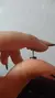 Piercing Raio na internet