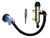 Bomba De Freno Trasera Skua 250 Flexible